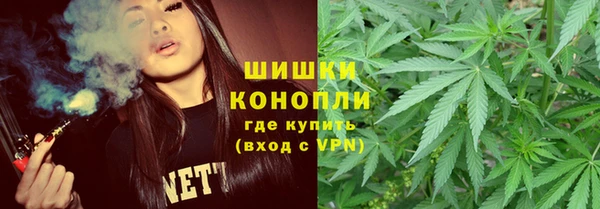 сатива Алзамай
