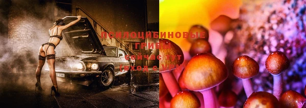 а пвп мука Абинск